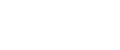 logo_rivalis